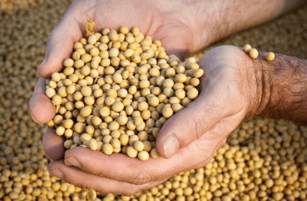 man holding beans
